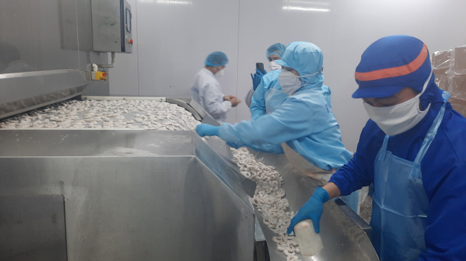 Các doanh nghiệp chế biến thủy sản của Quảng Ninh không ngừng hiện đại hóa công nghệ chế biến. Ảnh: Tiến Thành.
