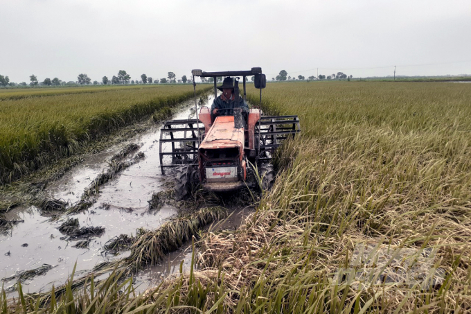 Ngoài yếu tố thời tiết, nhiều địa phương khó khăn trong việc thuê máy gặt, máy làm đất; thời gian xử lý rơm rạ sau lũ lâu khiến việc triển khai gieo cấy vụ hè thu bị ảnh hưởng. Ảnh: Võ Dũng.