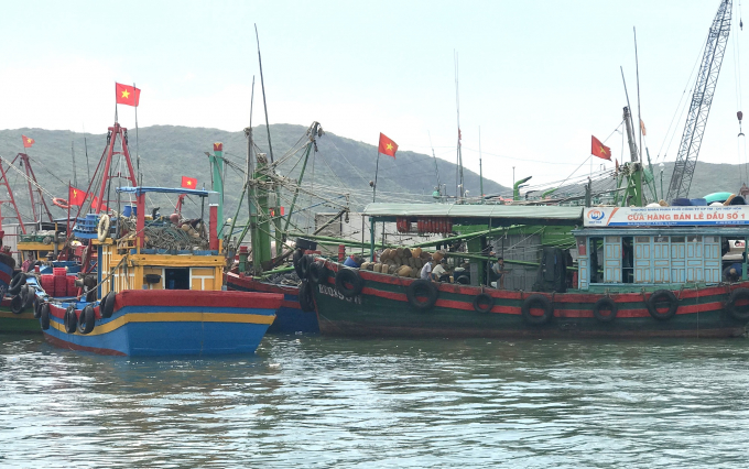 Tàu cá của ngư dân Bình Định vẫn tấp nập nạp nhiên liệu để mở chuyến biển mới. Ảnh: V.Đ.T.