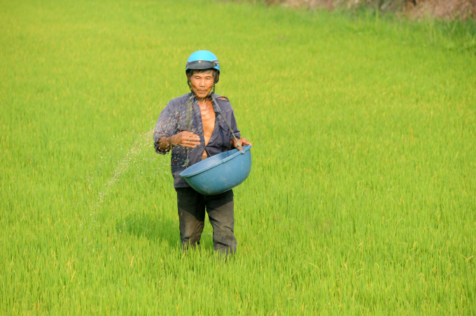 Bón phân tiết kiệm, hợp lý và khoa học và yêu cầu tiên quyết để giảm chi phí sản xuất trong bối cảnh giá phân bón tăng phi mã như hiện nay. Ảnh: NNVN.