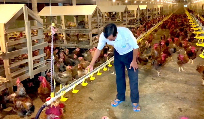 Trang trại gà lạnh của ông Khương đầu tư khoảng 60 tỷ đồng, thuộc loại lớn, hiện đại nhất ở Phú Giáo. Ảnh: Hồng Thủy.