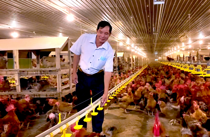 Toàn bộ quy trình chăm sóc đều tự động hoá, vì thế, trang trại gà lạnh của ông Khương rất ít nhân công. Ảnh: Hồng Thủy.