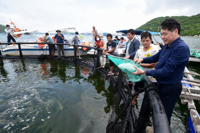 HDPE cage fish farming area of Research Institute for Aquaculture I on Van Phong Bay, Khanh Hoa. Photo: Tung Dinh.