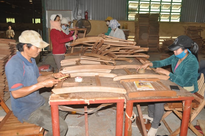 In areas where there is no plantation forest, wood processing waste products for export such as sawdust, shavings, and wood chips are input materials for pellet production. Photo: V.D.T.