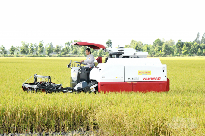 Mô hình sản xuất lúa gạo bền vững (SRP) liên kết với Lộc Trời đã giúp nông dân yên tâm đầu ra và tăng lợi nhuận. Ảnh: Lê Hoàng Vũ.
