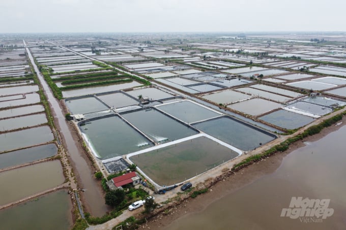 Những ao nuôi tôm ở khu vực Cồn Xanh, huyện Nghĩa Hưng, tỉnh Nam Định đang sử dụng chế phẩm sinh học trong sản xuất. Ảnh: Tùng Đinh.