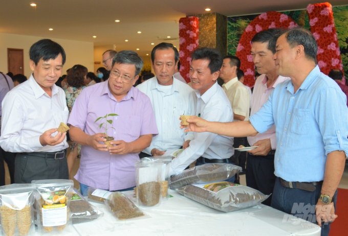 Các đại biểu thăm khu trưng bày các kết quả về chương trình canh tác lúa bền vững SRP và thúc đẩy sáng tạo chế biến rơm rạ. Ảnh: Trung Chánh.