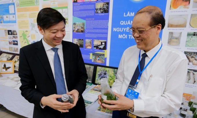 Phó Tổng cục trưởng Tổng cục Lâm nghiệp Trần Quang Bảo (bên trái) trao đổi với Hiệu trưởng Đại học Lâm nghiệp Trần Văn Chứ về các giống cây lâm nghiệp.
