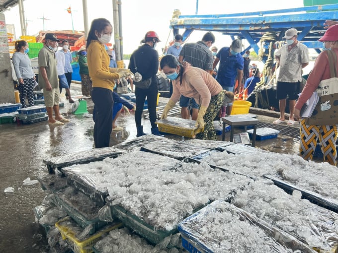 Đánh bắt thủy sản là một trong những thế mạnh phát triển kinh tế của kinh Cà Mau với bờ biển dài 254km. Ảnh: Trọng Linh.