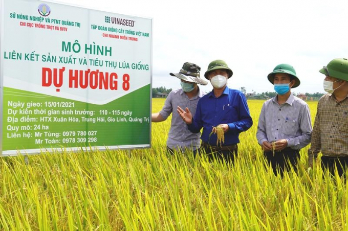 Các mô hình liên kết trong sản xuất đã tiết kiệm được chi phí, giúp nông dân các tỉnh phía Bắc vượt qua được khó khăn do giá vật tư tăng cao. Ảnh: TL.