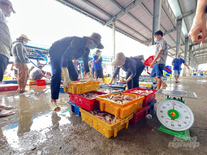 The exemption of fees for fishing vessels monitor service not only reduces difficulties for fishermen but also helps authorities strengthen management capacity in the field of fishing on the seas. Photo: Trong Linh.