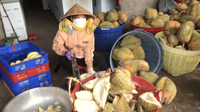 Durian husks are ordinarily discarded. Photo: Minh Dam.