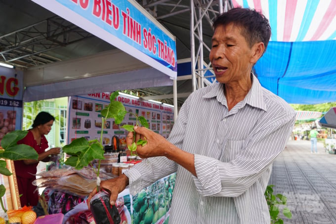 Ông Sáu Công giới thiệu giống cây chanh leo ngọt tại hội chợ. Ảnh: Nguyễn Thủy.