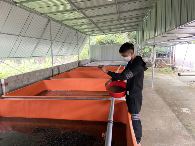 Từ 5 bể nuôi ban đầu, bây giờ anh đã đầu tư thành 18 bể nuôi lươn dưới nhiều hình thức khác nhau. Ảnh: Nguyễn Hoàn.