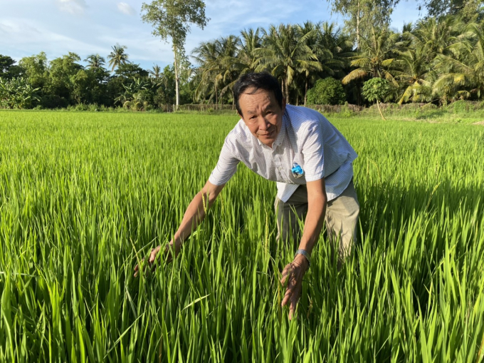The rice cultivation standard of Mekong Delta farmers has been raised to a new level thanks to the comprehensive impacts of the VnSAT Project. Photo: Dao Chanh.