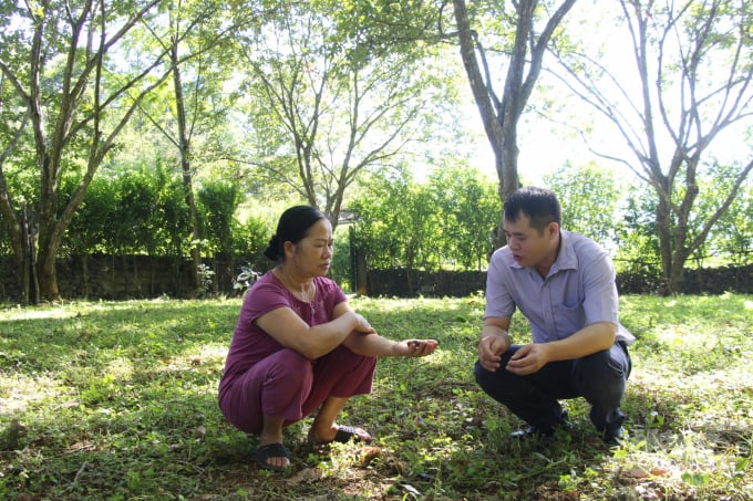 Cán bộ Phòng NN-PTNT huyện Trùng Khánh chia sẻ về cách trồng, chăm sóc cây dẻ cho người dân. Ảnh: Công Hải.