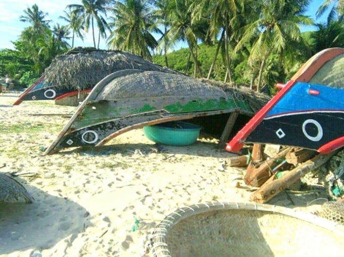 Cặp thuyền lưới đăng cá thu duy nhất còn lại ở Cù Lao Xanh nằm bờ vì đánh bắt không có cá. Ảnh: V.Đ.T.