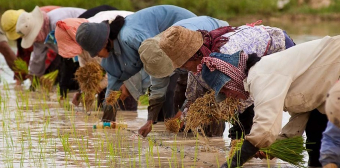 There are many new opportunities that will affect the agricultural sector in Vietnam and countries in the region. Photo: ATMI - ASEAN.