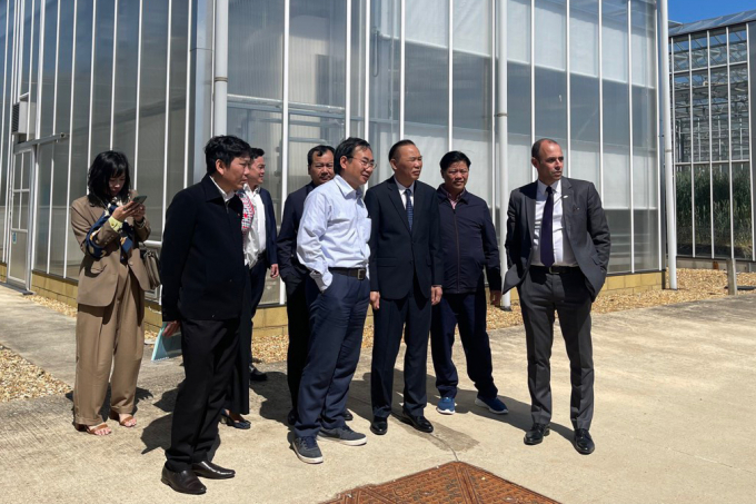 The delegation of the Ministry of Agriculture and Rural Development visited and worked with the NIAB Agricultural Innovation Center. Photo: Nguyen Thanh.