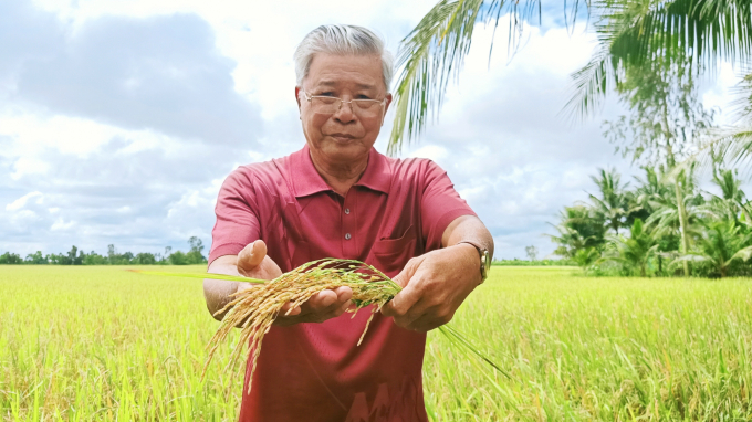 HTX Toàn Phát ở xã Thạnh Phú, huyện Cờ Đỏ, TP Cần Thơ vận động xã viên giảm 30% lượng giống gieo sạ. Ảnh: Kim Anh.