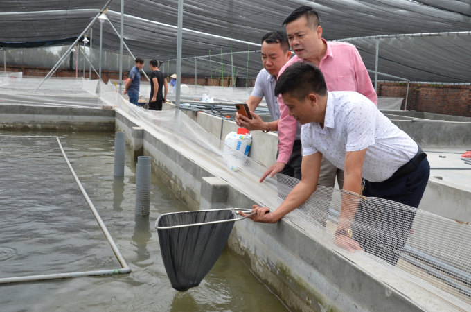 Kiểm tra sự tăng trưởng của thủy sản tại trang trại anh Nguyễn Mạnh Hùng. Ảnh: NNVN.