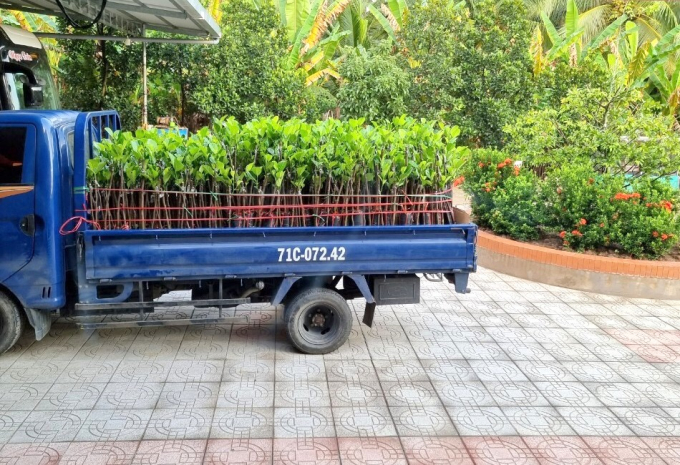 Tập đoàn Sinh Lợi có những chiếc xe tải nhỏ để vận chuyển cây giống, vật tư phân bón tới tận vườn trồng câu ăn quả cho nông dân. Ảnh: TĐSL.