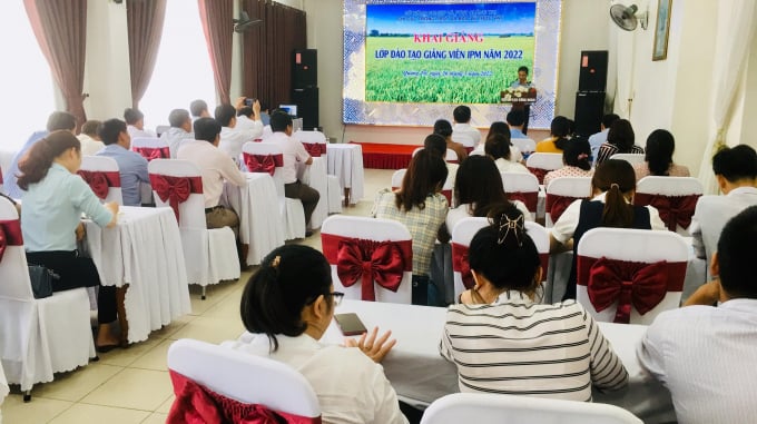 30 học viên sẽ trải qua lớp đào tạo trong vòng 3 tháng để trở thành lực lượng nồng cốt trong việc triển khai các lớp huấn luyện IPM cho nông dân Quảng Trị. Ảnh: PVT.