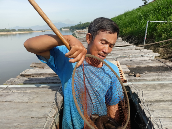 Ông Đinh Quang Tiến, xã Tịnh Sơn thu nhập cao và ổn định nhờ nuôi cá lồng trên sông Trà Khúc. Ảnh: Thu Phượng.
