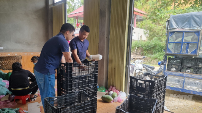 Hợp tác xã Nhung Lũy trở thành đầu mối bao tiêu sản phẩm bí xanh thơm cho người dân ở huyện Ba Bể. Ảnh: Công Hải