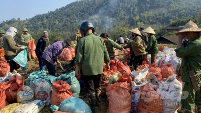 Các hợp tác xã sản xuất miến dong bao tiêu sản phẩm củ dong riềng cho bà con nông dân ở huyện Na Rỳ. Ảnh: Công Hải