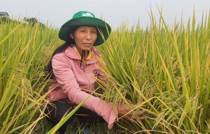 Bà Trần Thị Tam: 'Liên kết làm lúa hữu cơ cho nông dân chúng tôi lãi lớn trên đồng ruộng'. Ảnh: T.P