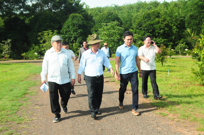 PGS.TS Nguyễn Minh Châu (ngoài cùng bên trái) tham quan vườn sầu riêng sử dụng phân hữu cơ của Công ty Dona Techno ở xã Xuân Quế, huyện Cẩm Mỹ (Đồng Nai). Ảnh: NMC.