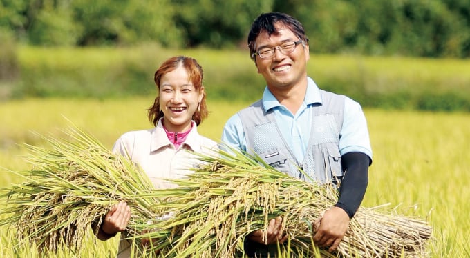 Ở Hàn Quốc, các mô hình nông nghiệp đều được tạo ra để tuân theo một quy trình phát triển nông nghiệp theo mục tiêu bền vững.