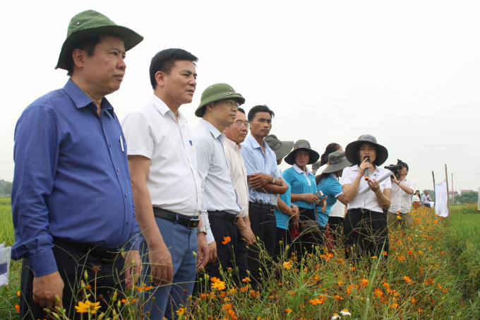 Các đại biểu tham quan, đánh giá kết quả mô hình áp dụng IPHM trên lúa vụ xuân 2022 được triển khai trên địa bàn Việt Hưng (Văn Lâm). Ảnh: Trung Quân.