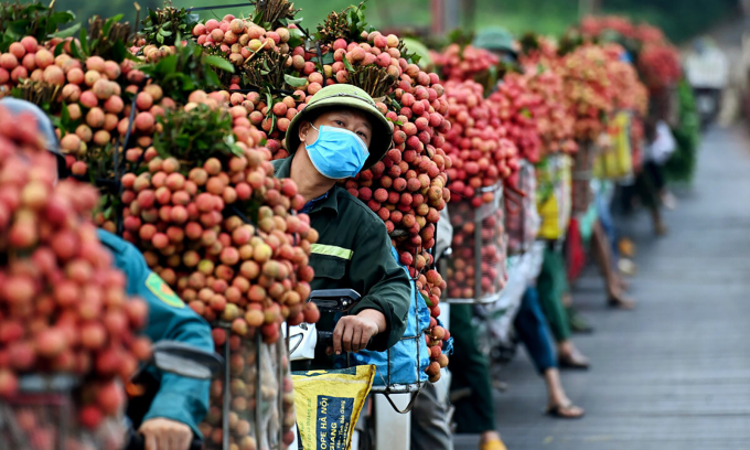 People carry lychees for sale along Highway 31. Photo: Tung Dinh.