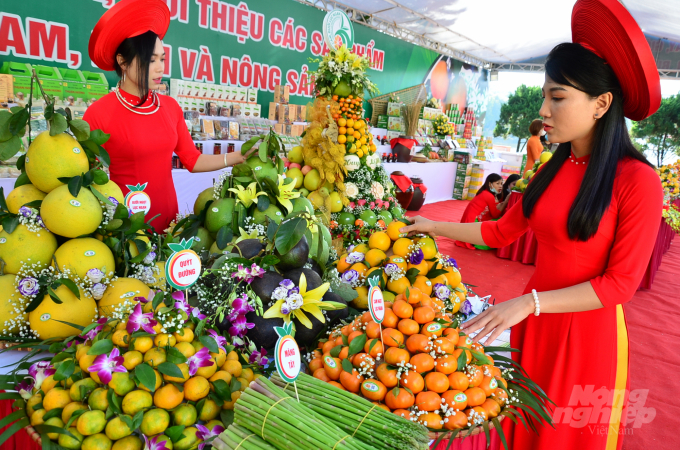 Khu trưng bày các loại trái cây của tỉnh Bắc Giang. Ảnh: Dương Đình Tường.