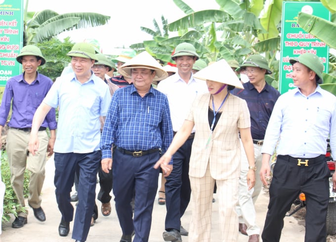 Bộ trưởng Lê Minh Hoan (thứ 3 từ phải sang) và ông Phạm Xuân Thăng (thứ hai từ trái sang) cùng lãnh đạo tỉnh, huyện Tứ Kỳ thăm vùng sản xuất lúa rươi hữu cơ tại xã An Thanh. Ảnh: Trung Quân.
