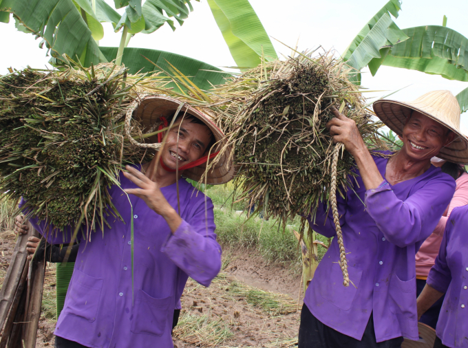 Agriculture for the sake of humanity carries with it responsibilities, cultural and historical values ​​and profound humanity, for the sustainable development of people. Photo: Trung Quan.