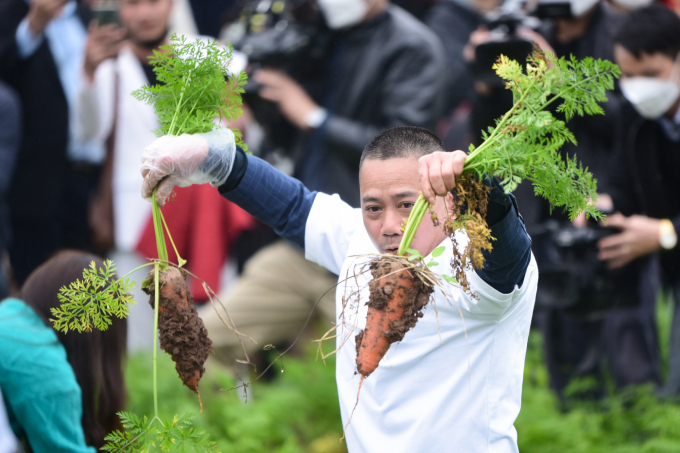 Lần đầu tiên tại cánh đồng xã Đức Chính, huyện Cẩm Giàng, tỉnh Hải Dương diễn ra lễ hội thu hoạch cà rốt với sự tham gia của nhiều người nổi tiếng. Ảnh: Tùng Đinh.