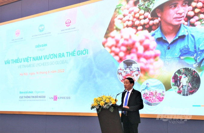 Năm 2022, vải thiều Việt Nam được dự báo là được mùa với sản lượng khoảng 320.000 tấn. Ảnh: Phạm Hiếu.