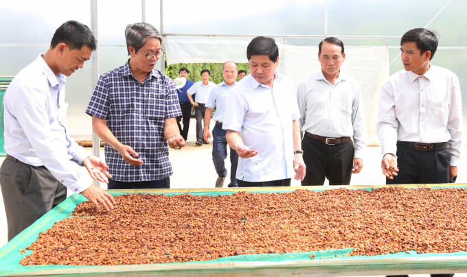 Thứ trưởng Bộ NN-PTNT Lê Quốc Doanh (giữa) đánh giá chất lượng cà phê sau tái canh đã giúp ngành hàng này cạnh tranh với các quốc gia xuất khẩu khác. Ảnh: Minh Quý.