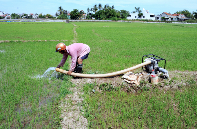 Công ty Đồng Cam và các địa phương cấp tốc bớm nước tưới chống hạn cho lúa. Ảnh: AC.