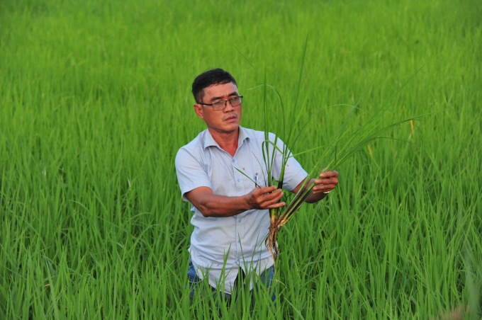 Chủ tịch HĐQT kiêm Tổng Giám đốc HTX nông nghiệp Tân Hưng, ông Lê Minh Hải. Ảnh: Hoàng Vũ.