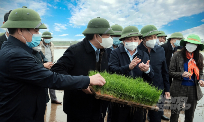 Deputy Minister of Agriculture and Rural Development Le Quoc Doanh (3rd from the left) checks the quality of the rice seedlings before sowing in Dong Hung district, Thai Binh province in February 2022.