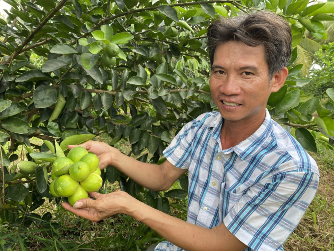 Bio Fruit Coop has not only changed the people’s farming habits but also helped them feel secure producing on their own land. Photo: Hoang Vu.