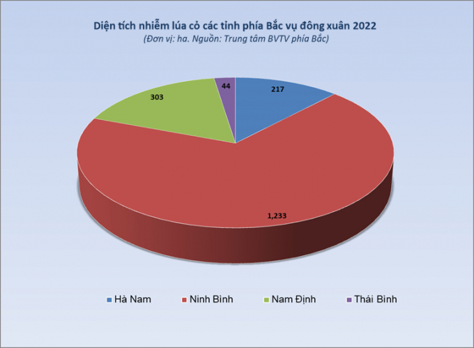 Đến vụ xuân 2022, Ninh Bình là tỉnh nhiễm lúa cỏ nặng nhất với hơn 1.200ha. Đồ họa: Lê Bền.