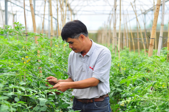 Mô hình rau hữu cơ tại trang trại Thiên Sinh, huyện Đơn Dương, Lâm Đồng. Ảnh: Minh Hậu.