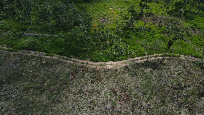 Các xã trên địa bàn tỉnh Gia Lai được giao quản lý diện tích rừng rất lớn. Ảnh: Tuấn Anh.