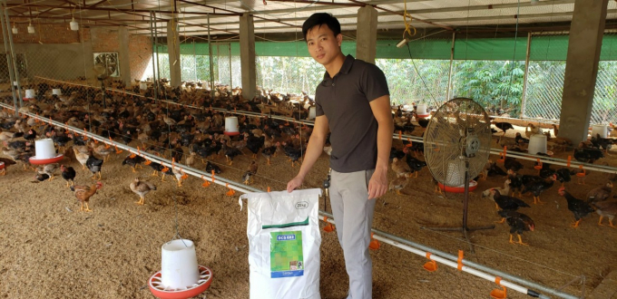 Sản phẩm thay thế kháng sinh DCS 682 giúp vật nuôi phát triển khỏe mạnh. Ảnh: NT.
