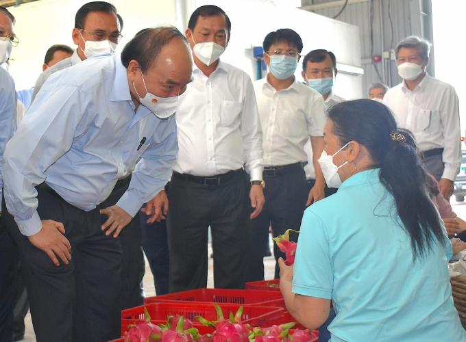Chủ tịch nước Nguyễn Xuân Phúc thăm HTX Mỹ Tịnh An ở Tiền Giang. Ảnh: Minh Đảm.